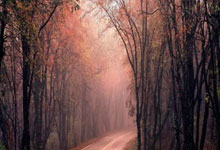 九游体育网页版入口-亚洲足球崛起：从草根到国际舞台的辉煌瞬间