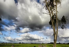 九游体育中国官网-马拉加主场告负，降级危机触底反弹的可能性有多大？