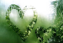 九游体育在线登录-曼联击败曼城，豪取英超胜利，曼联对曼城战绩