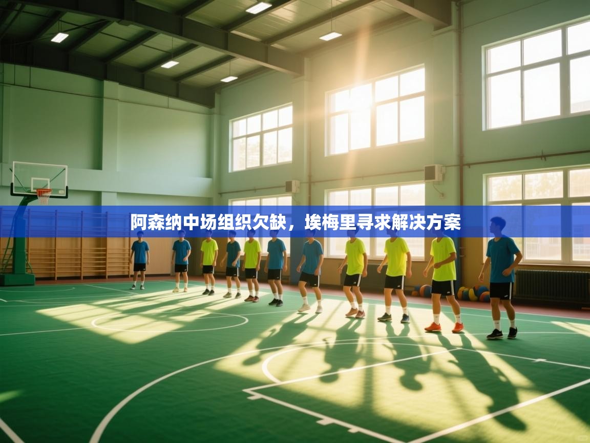 阿森纳中场组织欠缺，埃梅里寻求解决方案  第2张