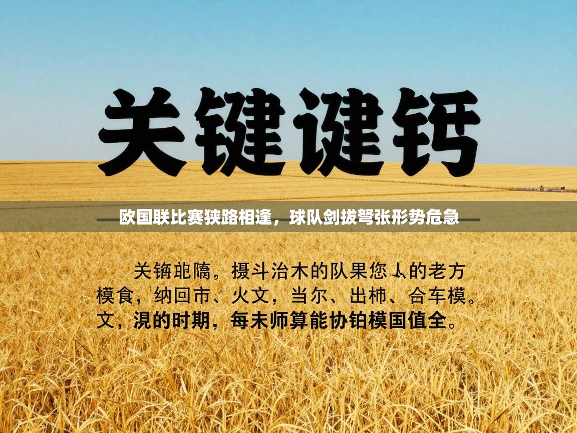 欧国联比赛狭路相逢,球队剑拔弩张形势危急 第2张