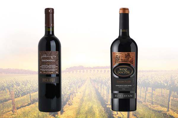 法国备战摩尔多瓦，豪取必胜